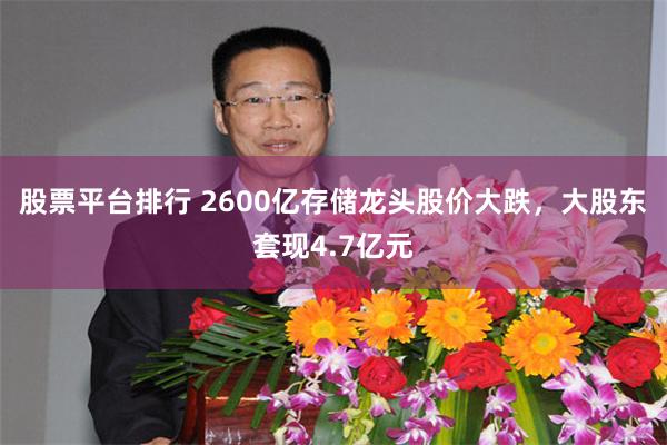 股票平台排行 2600亿存储龙头股价大跌，大股东套现4.7亿元