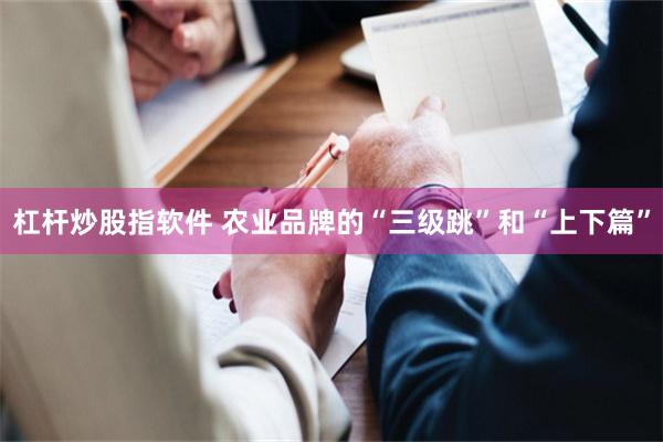 杠杆炒股指软件 农业品牌的“三级跳”和“上下篇”