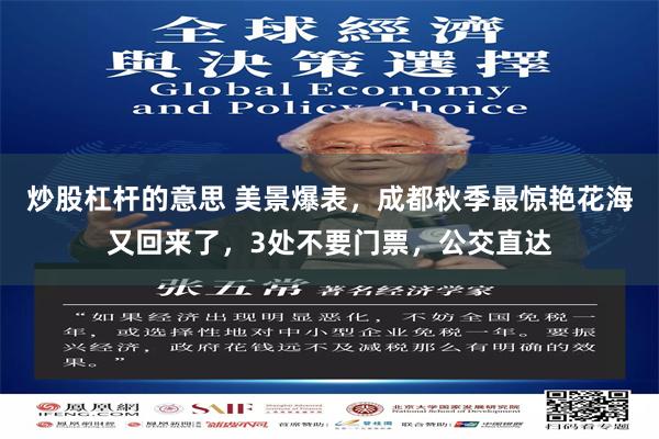 炒股杠杆的意思 美景爆表，成都秋季最惊艳花海又回来了，3处不要门票，公交直达