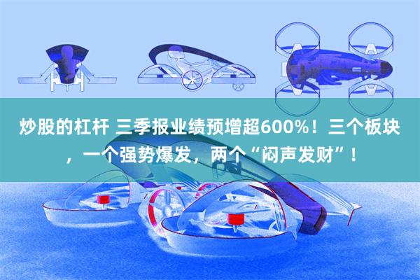 炒股的杠杆 三季报业绩预增超600%!三个板块,一个强势爆发,两个“闷声发财”!