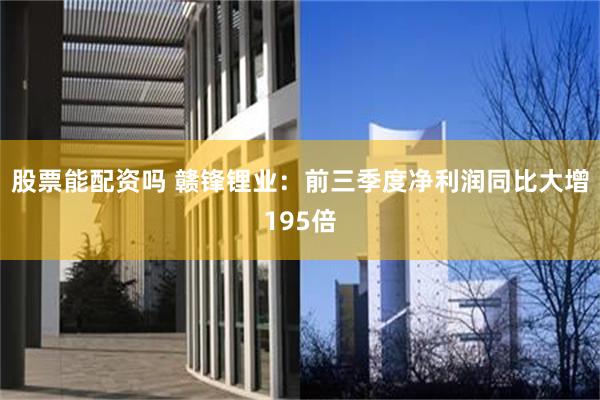 股票能配资吗 赣锋锂业：前三季度净利润同比大增195倍