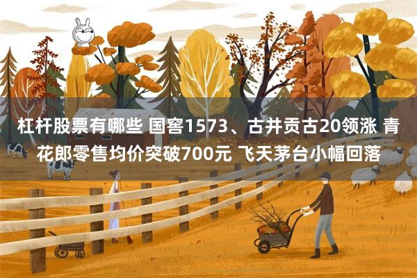 杠杆股票有哪些 国窖1573、古井贡古20领涨 青花郎零售均价突破700元 飞天茅台小幅回落