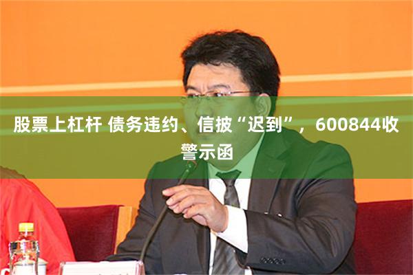 股票上杠杆 债务违约、信披“迟到”，600844收警示函